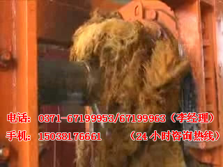 �ؙ�������C(j��)